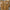 Essie Nails (360 Pcs Pallet/6 Displays)