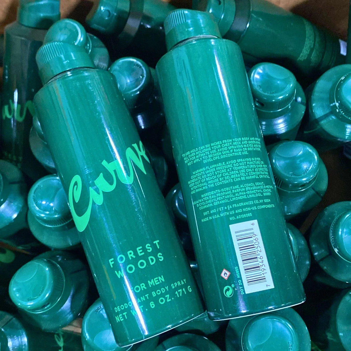 Curve Forest Woods for Men Deodorant Body Spray 6OZ (38 Pcs Lot) - Discount Wholesalers Inc