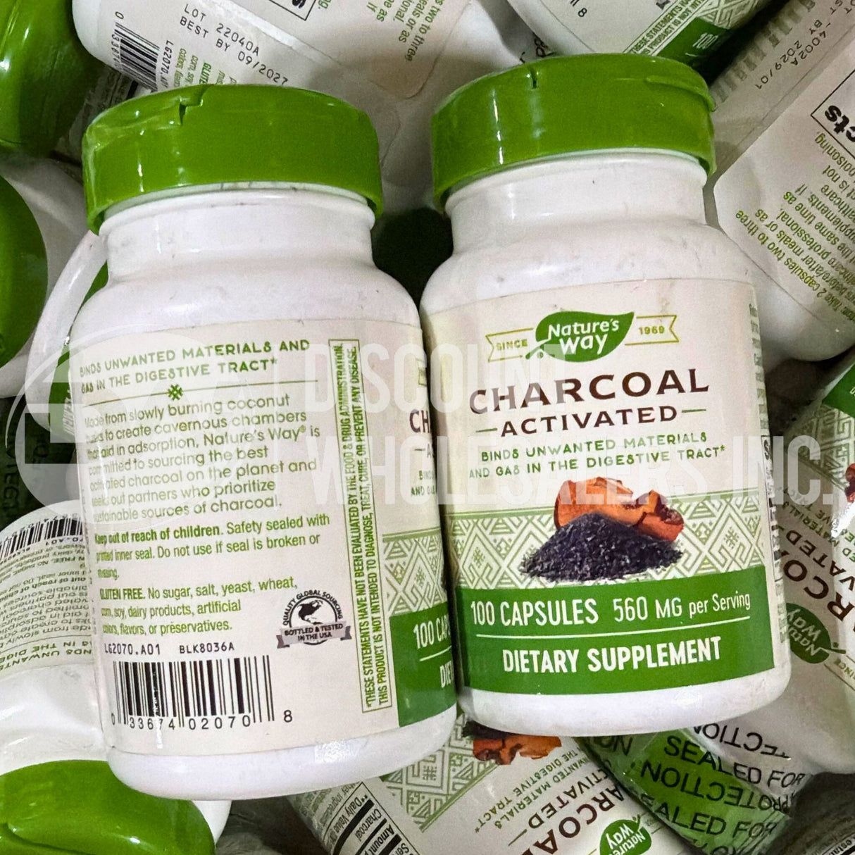 Nature's Way Charcoal Activated 100 Capsulas (40 Pcs Lot)