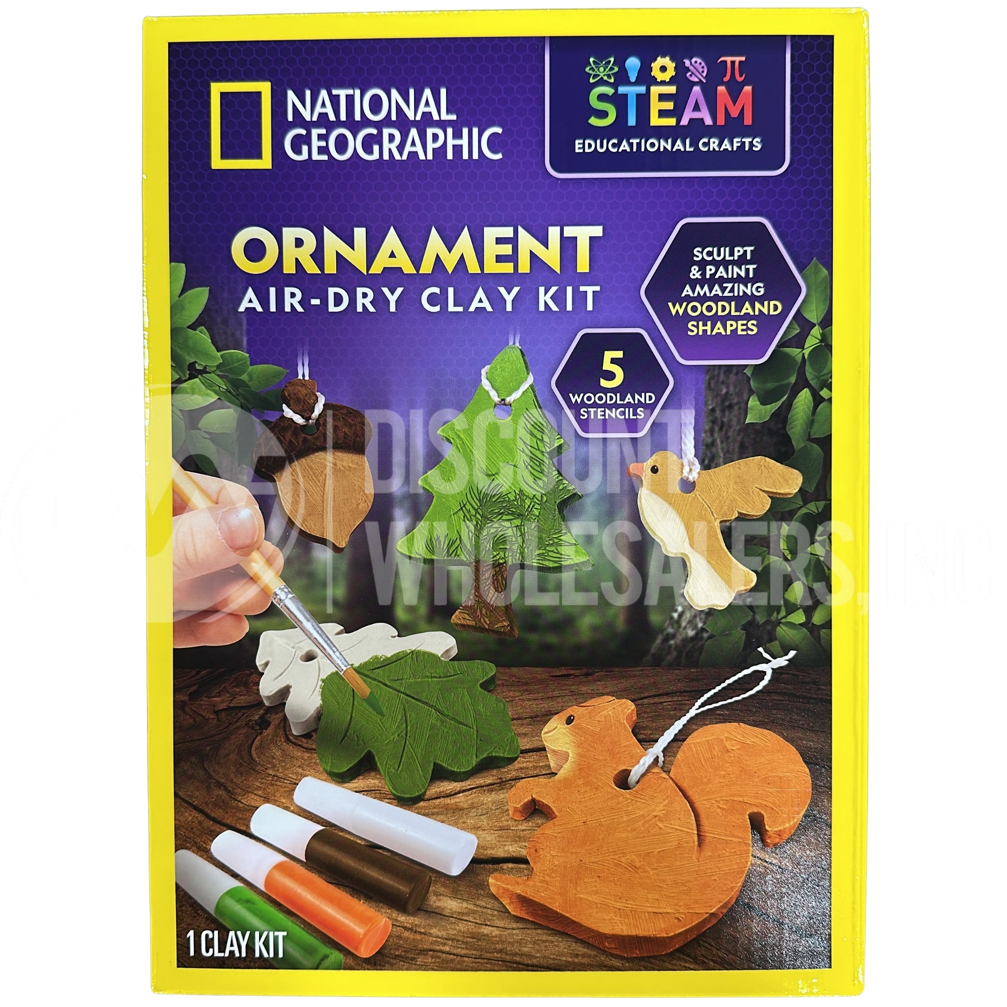 National Geographic Leaf Dish And Ornament Mix (48 Pcs Lot)