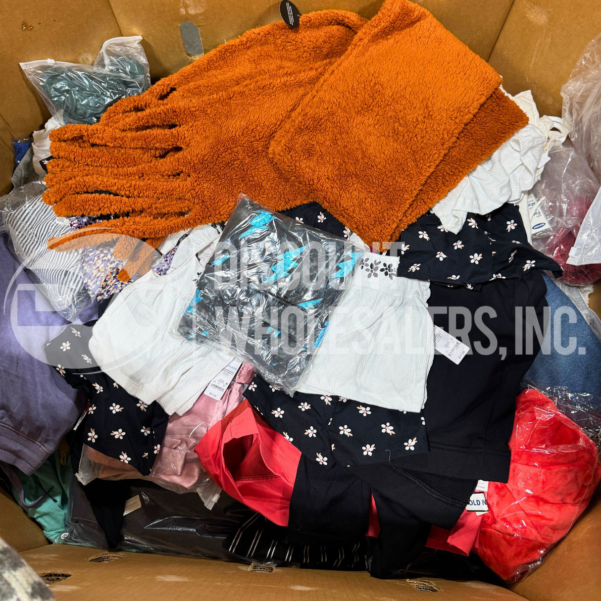 DWI APPAREL MIX - Various Seasonal Pieces Women,Men,Kids (300 PCS/PLT)