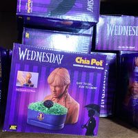 Thumbnail for Wednesday Chia Pet Handmade Decorative Planter 