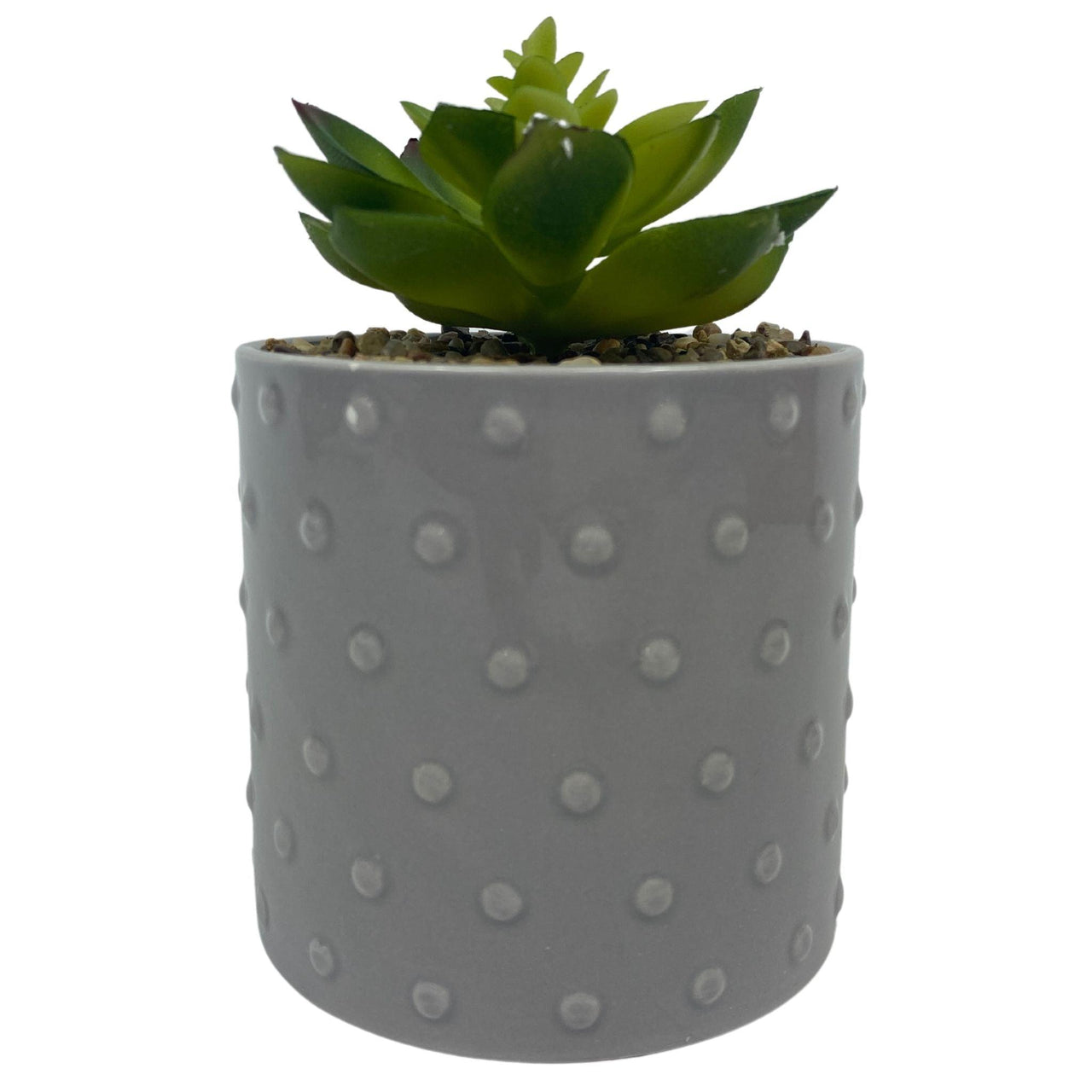Garden Party Grey Dotted Ceramic Pot Succulent (40 Pcs Lot) - Discount Wholesalers Inc