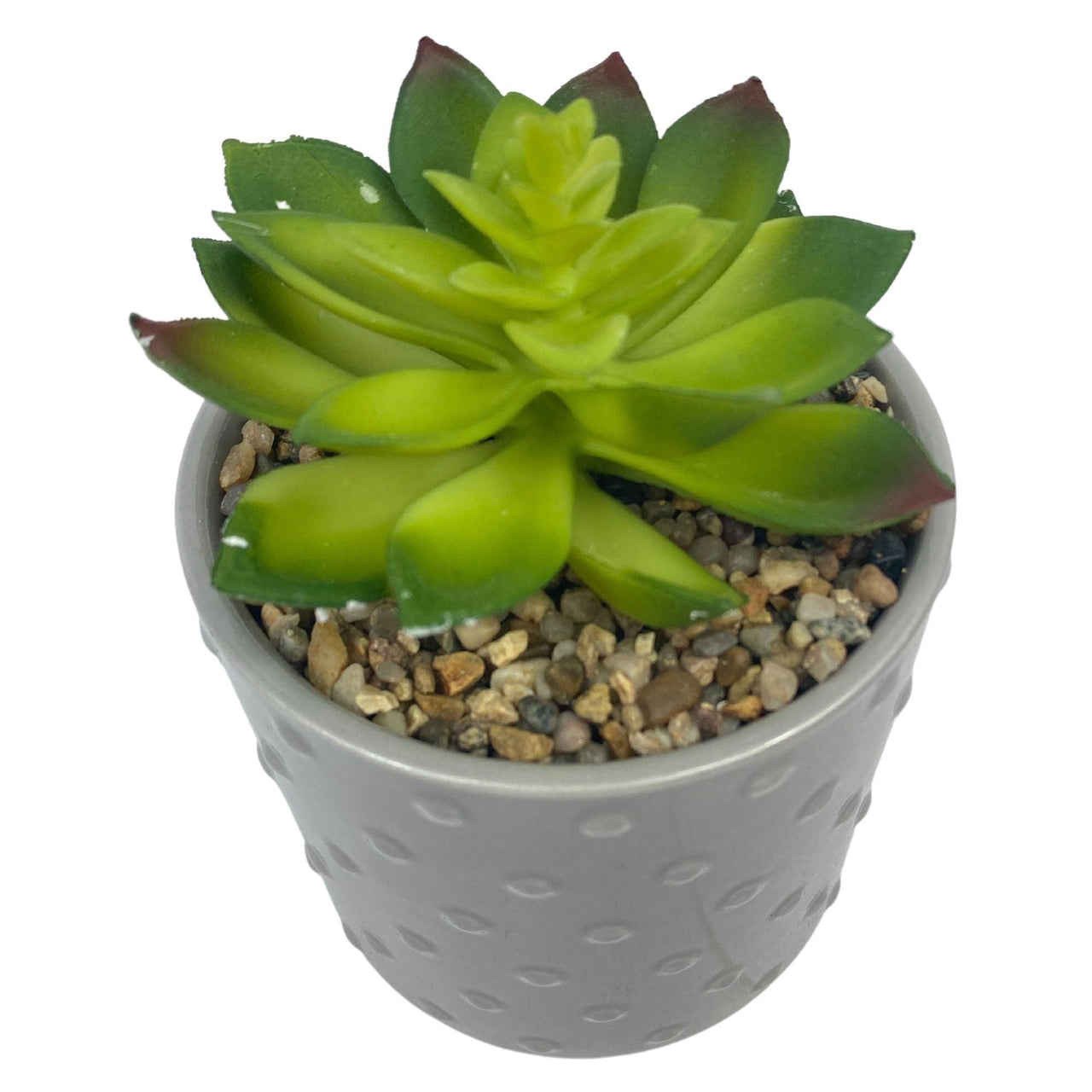 Garden Party Grey Dotted Ceramic Pot Succulent (40 Pcs Lot) - Discount Wholesalers Inc