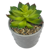 Thumbnail for Garden Party Grey Dotted Ceramic Pot Succulent (40 Pcs Lot) - Discount Wholesalers Inc