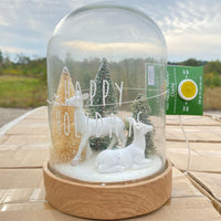 Thumbnail for Holiday Home Happy Holidays LED Cloche (12 Pcs Lot) - Discount Wholesalers Inc