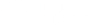 Discount Wholesalers Inc