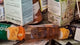 CVS COSMETIC - HBC (2245 Pcs/Pallet)