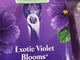 Skintimate Violet Blooms 4 Scented Blades (600 Pcs Per Pallet)