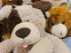 HOT HUGS Assorted Animals ( MICROWAVABLE HOTTIE ), (144 Pcs Per Pallet)
