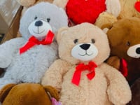 Assortment Pallet of Jumbo & Medium Teddy Bears (50 Pcs Per Pallet)