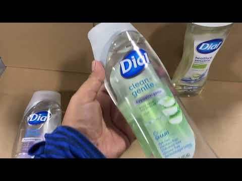 Assorted Dial Body Wash 16fl.oz | Discount Wholesalers Inc