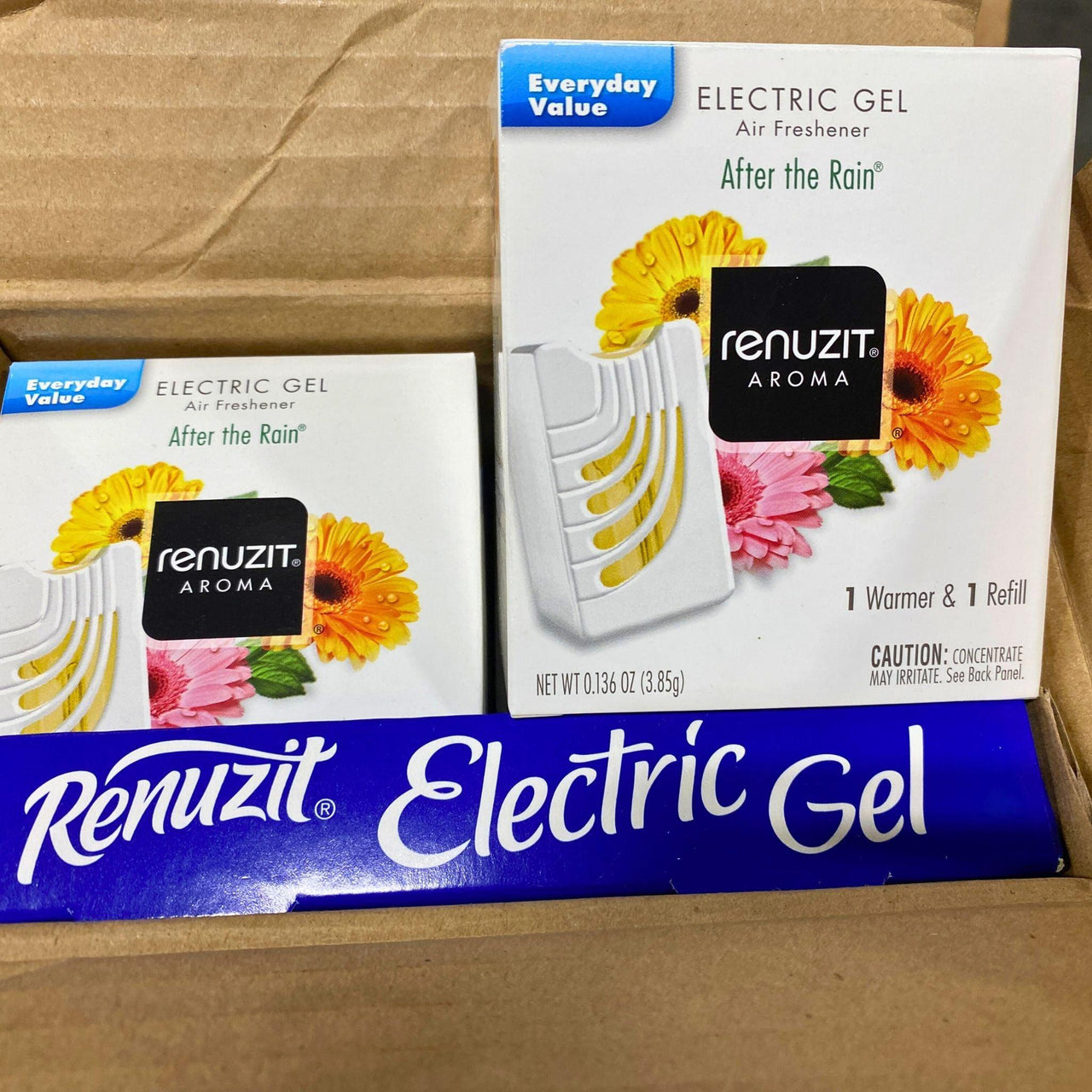 Renuzit Electric Gel Air Freshener "After the Rain" (96 Pcs Lot) - Discount Wholesalers Inc
