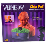 Wednesday Chia Pet Handmade Decorative Planter (40 Pcs Lot) - Discount Wholesalers Inc